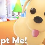 ¡Adoptarme!  Actualización de noviembre para desarrolladores: ¡Detalles sobre cambios de mascotas, poción de neón y más!