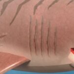 Códigos Roblox SharkBite (febrero de 2021) - ¡Actualización de la Semana del Tiburón!